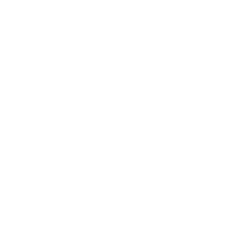 Logo de WordPress (blanc)